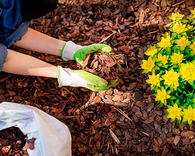 Landscape Mulch, Sherrill’s Ford, NC