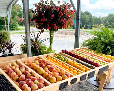 Lakeside Farmers Market, Sherrill’s Ford, NC