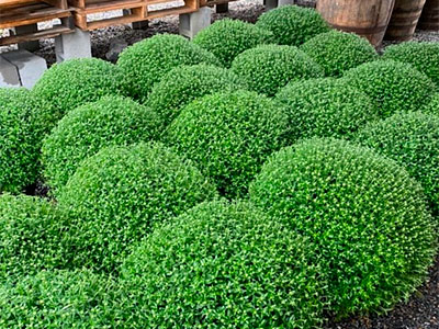 Landscape Supplies, Sherrill’s Ford, NC