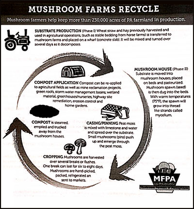 Mushroom Compost, Sherrill’s Ford, NC